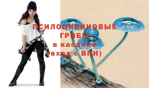 тгк Бугульма