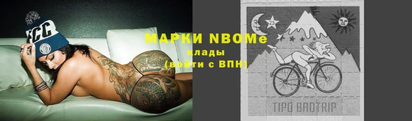 эйфоретик Бородино