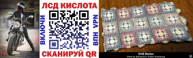 Марки NBOMe 1,5мг blacksprut tor Гусев